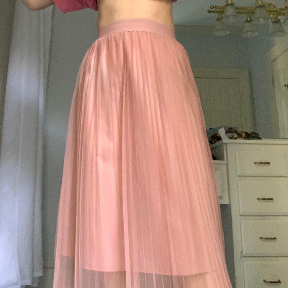 Zara Tulle Skirt
